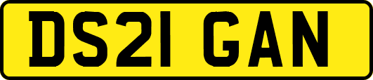 DS21GAN