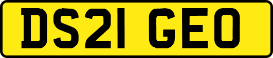 DS21GEO