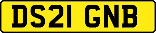 DS21GNB