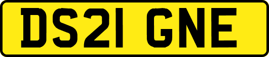DS21GNE