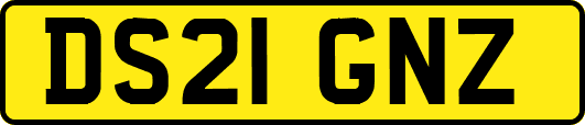 DS21GNZ
