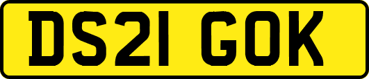 DS21GOK