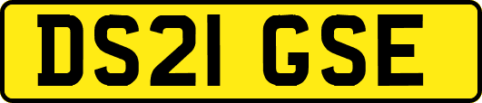 DS21GSE