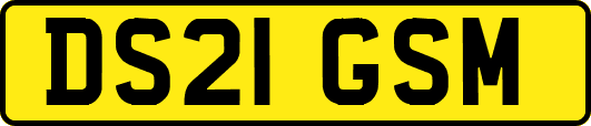 DS21GSM