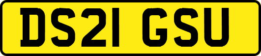 DS21GSU