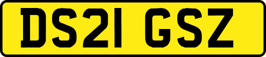 DS21GSZ
