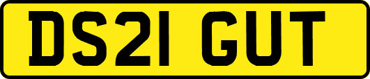 DS21GUT