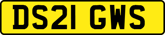 DS21GWS