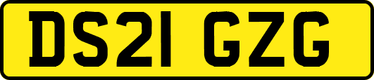 DS21GZG