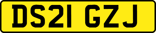 DS21GZJ