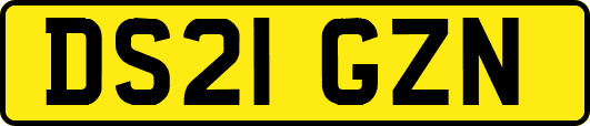DS21GZN
