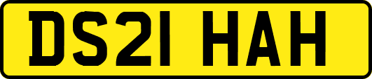 DS21HAH