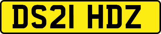 DS21HDZ