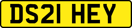 DS21HEY