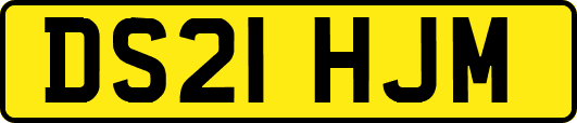 DS21HJM
