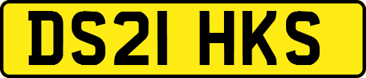 DS21HKS