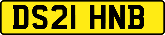 DS21HNB