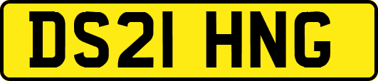 DS21HNG