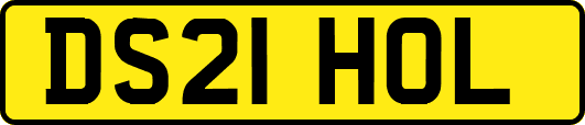 DS21HOL