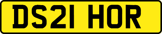 DS21HOR