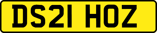 DS21HOZ