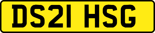 DS21HSG