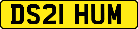 DS21HUM