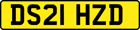 DS21HZD