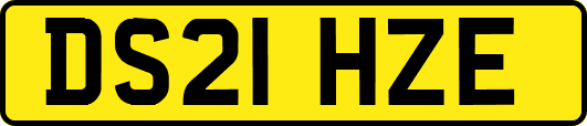DS21HZE