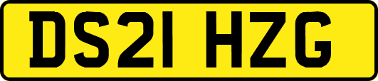 DS21HZG