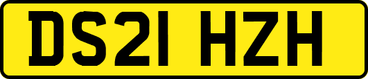 DS21HZH