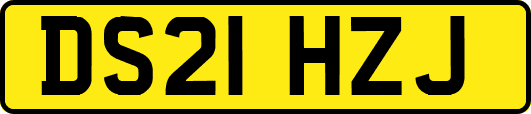 DS21HZJ
