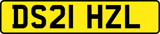 DS21HZL