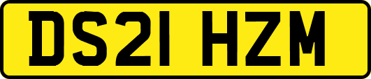 DS21HZM