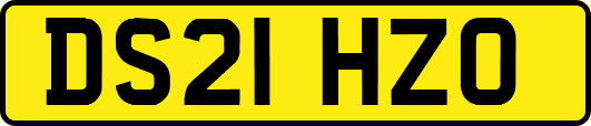 DS21HZO