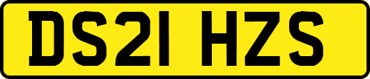 DS21HZS