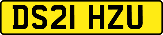 DS21HZU