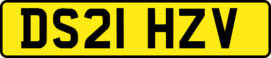 DS21HZV