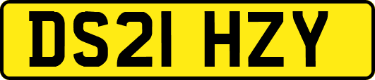DS21HZY
