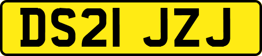 DS21JZJ