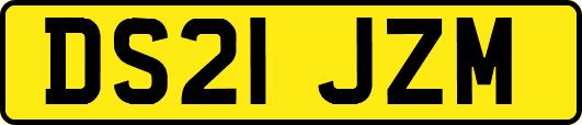 DS21JZM