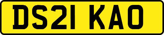 DS21KAO