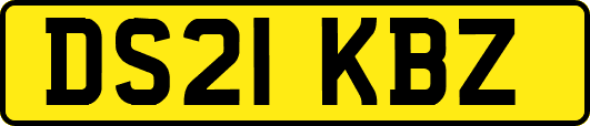 DS21KBZ