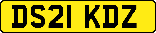 DS21KDZ