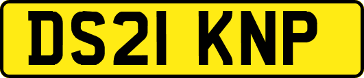 DS21KNP