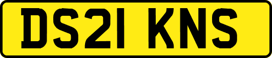 DS21KNS