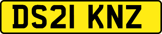 DS21KNZ