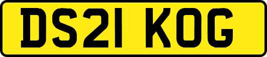 DS21KOG