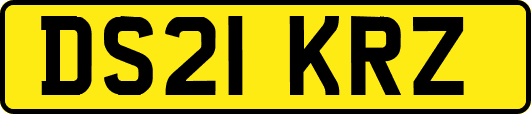 DS21KRZ