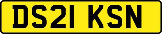 DS21KSN